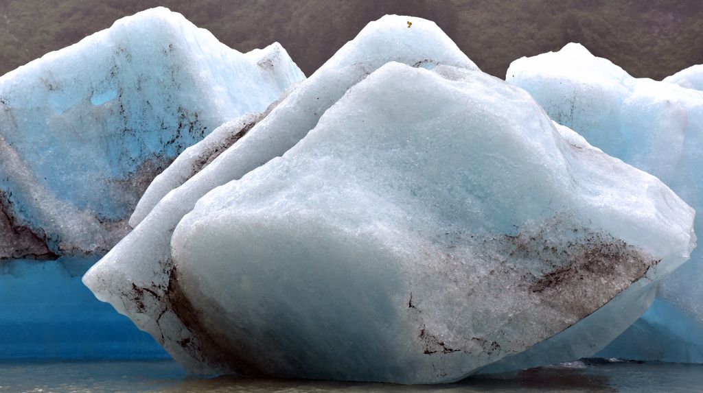 Eisberge im Shakes Lake