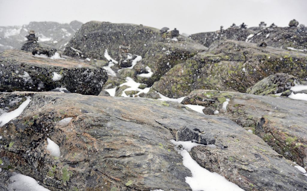 Auf dem Mount Dalsnibba, Norwegen