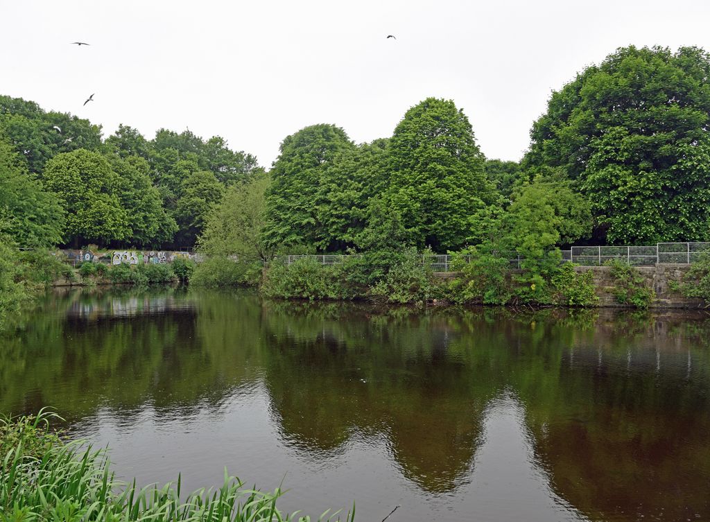 Water of Leith Walkway, Leith