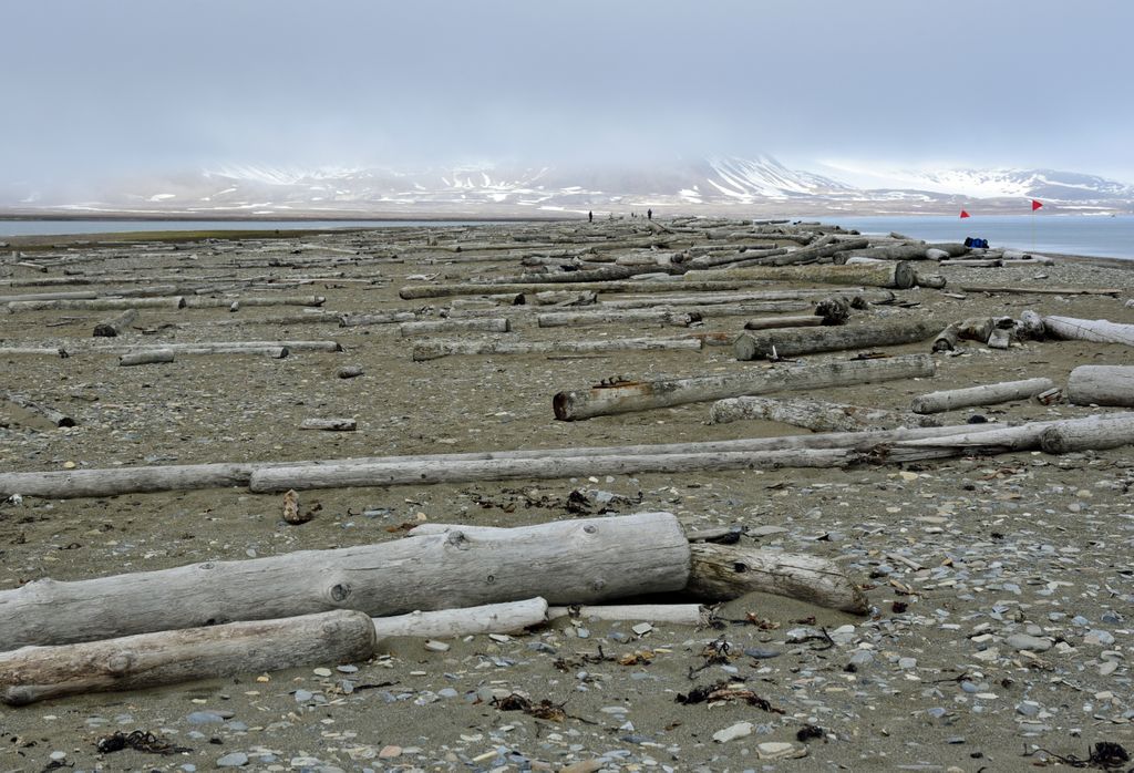 Die Insel Poolepynten, Spitzbergen