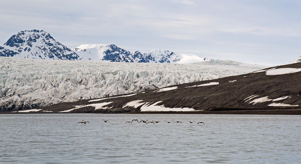 Ein Gletscher bei Alkhornet, Spitzbergen