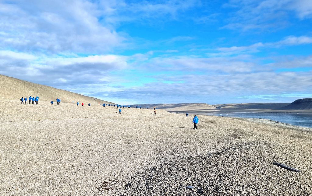 Kalkstein auf Beechey Island