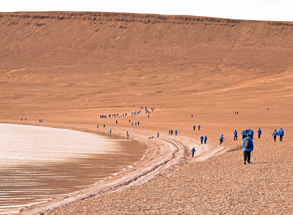 Keine Vegetation auf Beechey Island