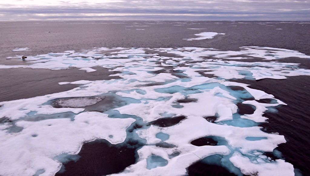 Tiersuche an der Eiskante im Norden von Kanada