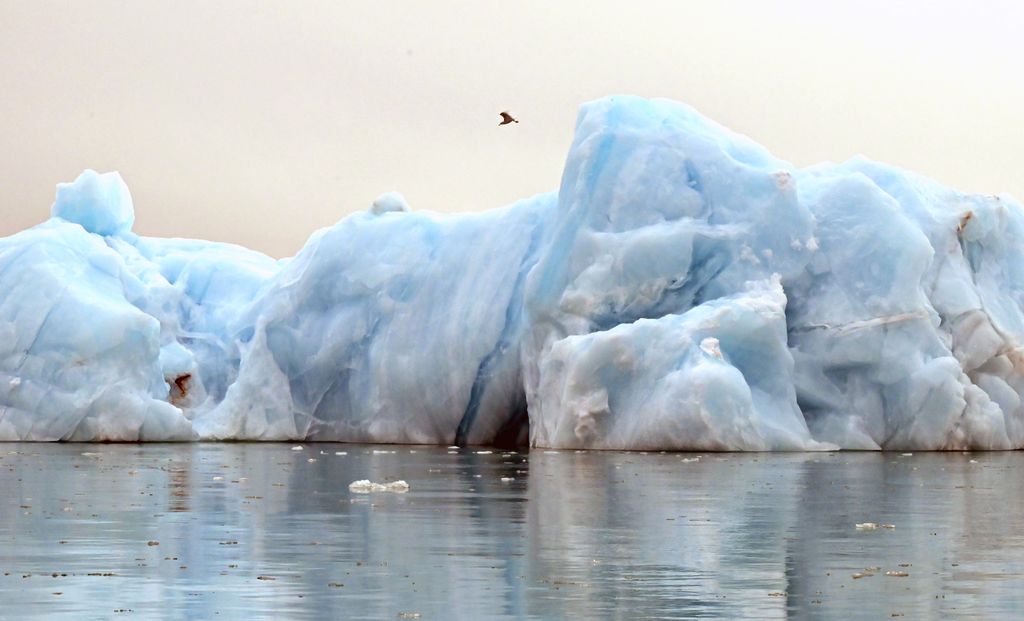 Blaue Eisberge in der Croker Bay