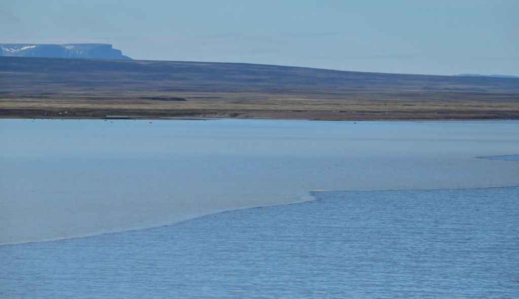 Die Küste im Tay Sound