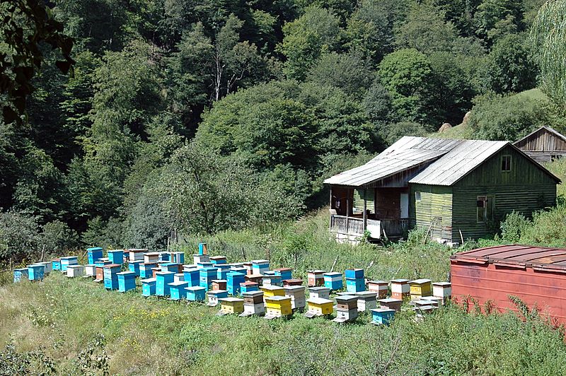 Hier wohnen armenische Bienen