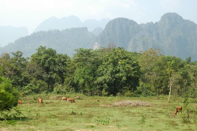 Bergland um Vang Vieng