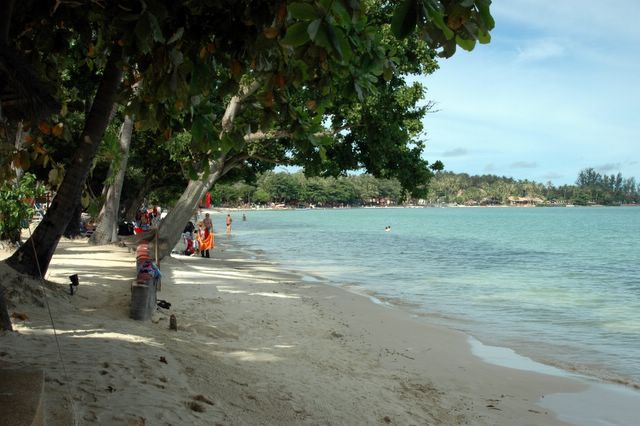 Der Strand am Hotel Amari Reef in Koh Samui