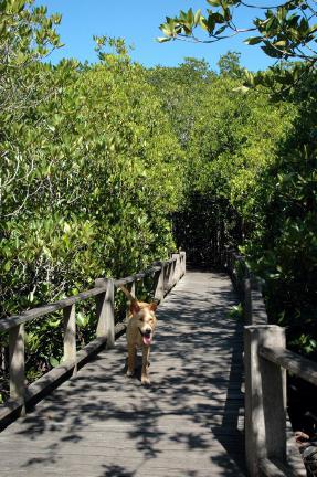 Nationalpark in der Nähe von Hua Hin