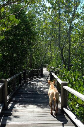 Nationalpark in der Nähe von Hua Hin