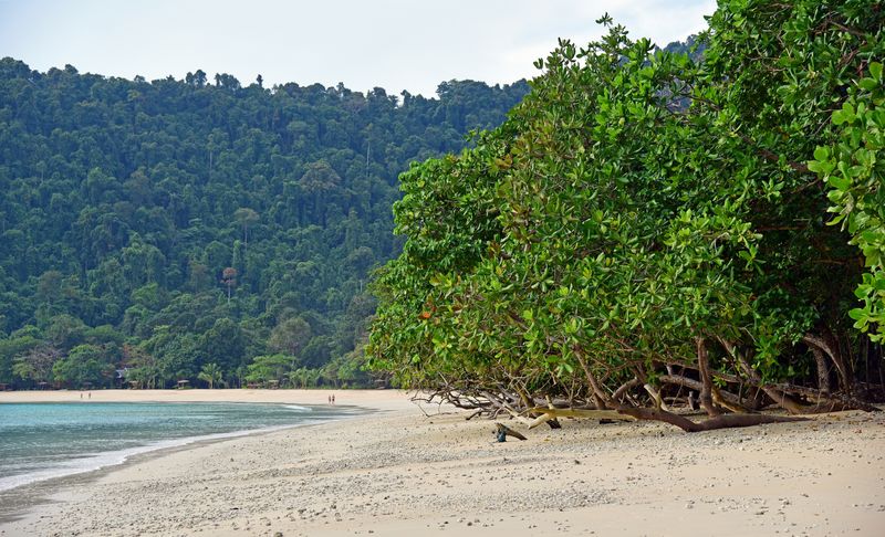 Fork Island / Myanmar