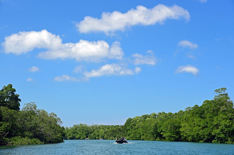 Mangroven im Lampi Channel