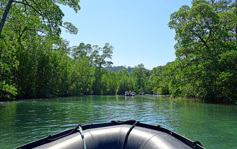 Mangroven im Lampi Channel