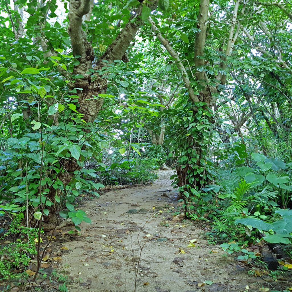 Ein Park in Downtown Ishigaki