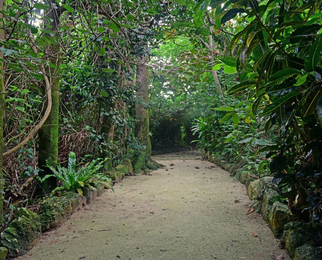 Unterwegs auf der Insel Taketomi