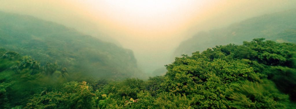 Ausblick auf den Nebel von Flores