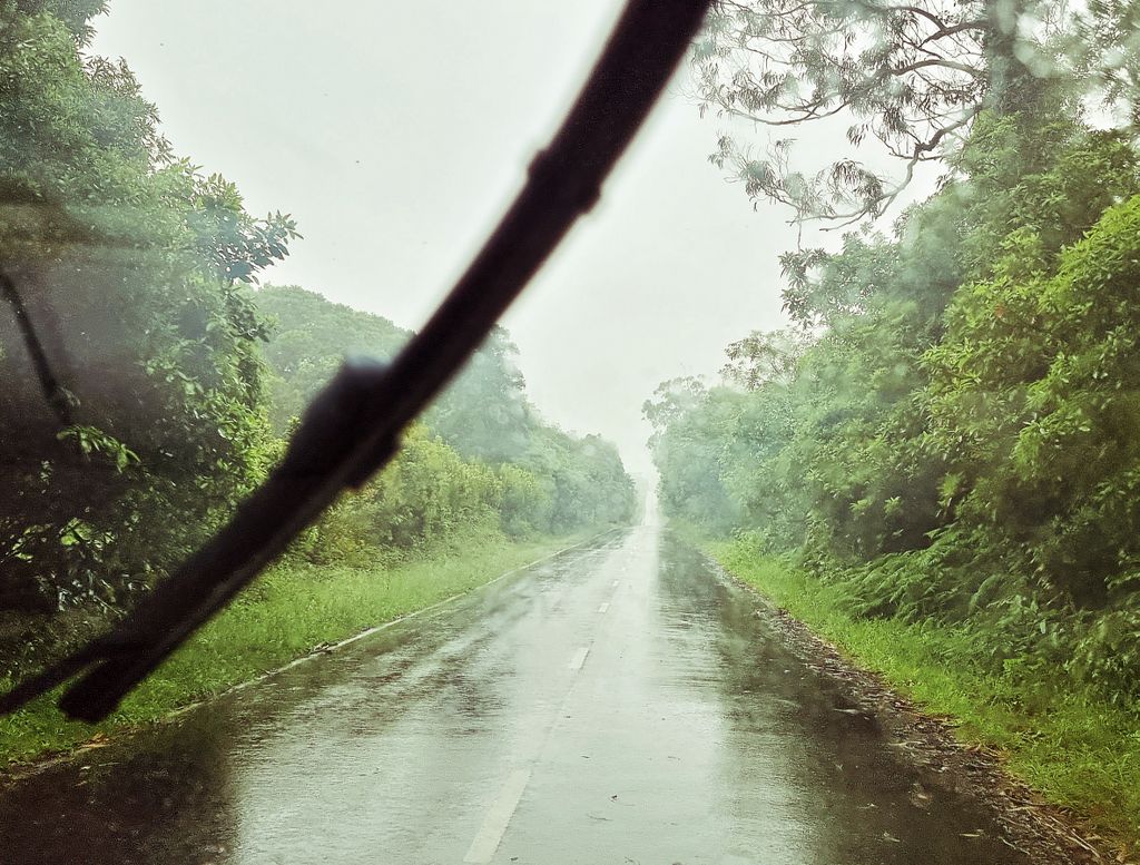 Unterwegs im Regen von Pico