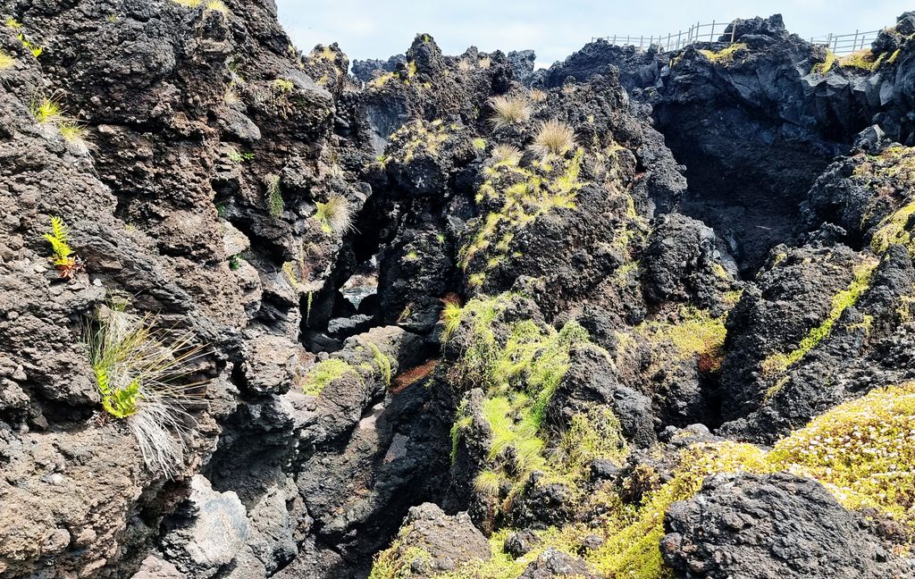 Felsgebilde in Cachorro auf Pico