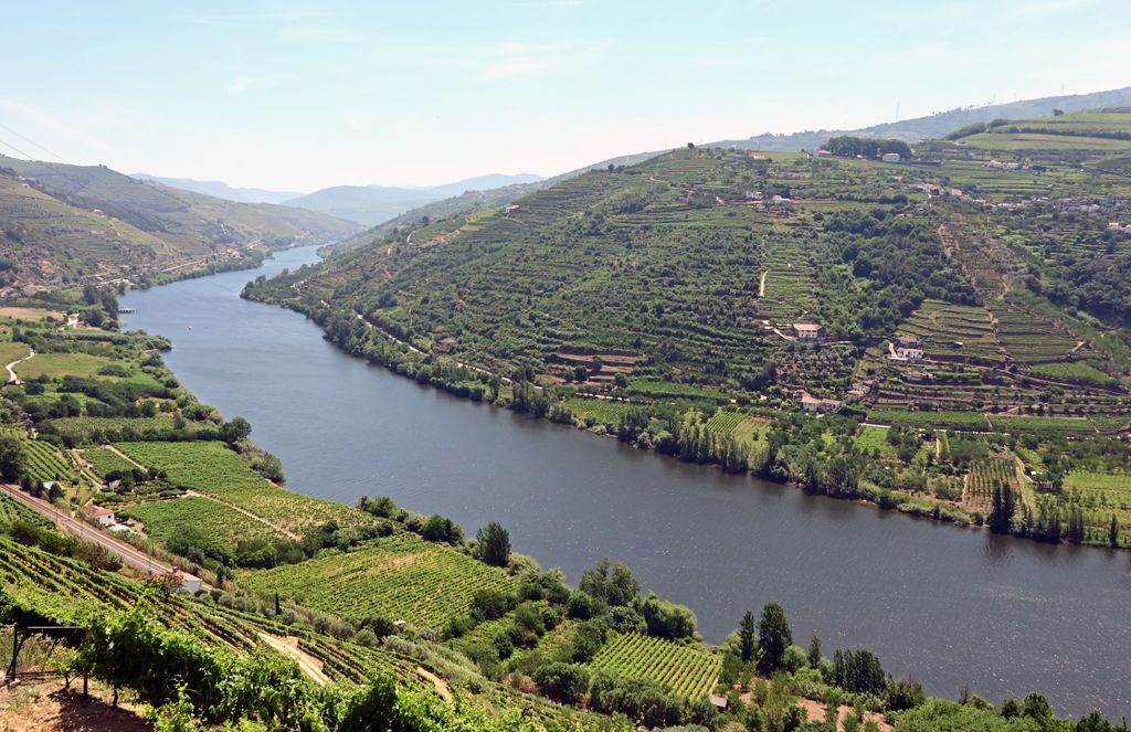 Blick auf den Douro