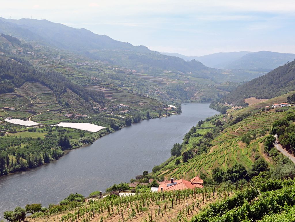 Ausblick auf das Tal der Douro