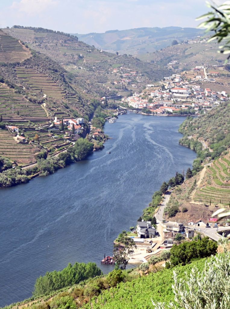 Ausblick auf Pinhão