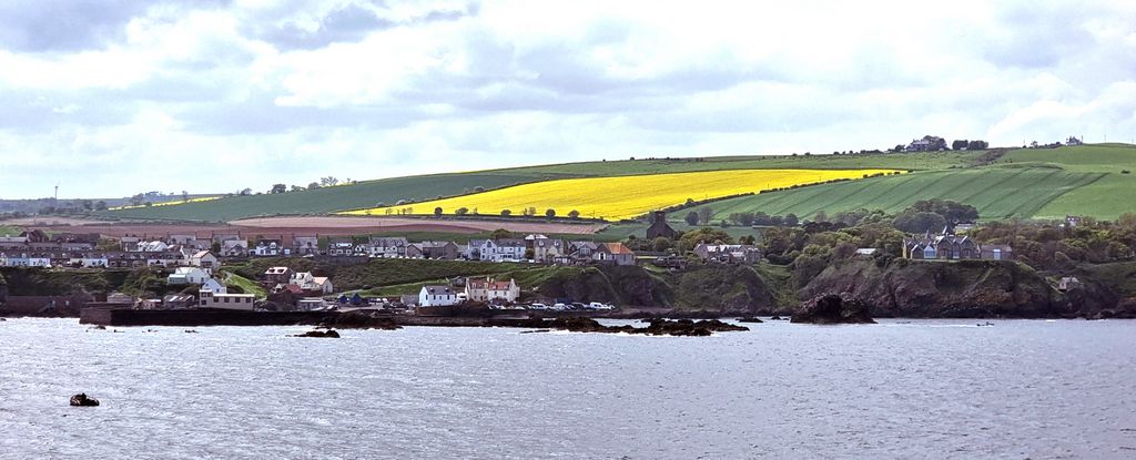 Ausblick auf St. Abbs