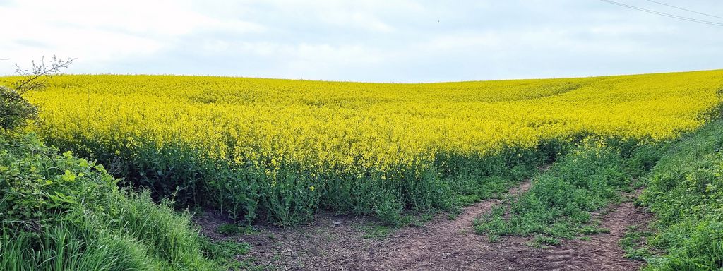 Unterwegs auf St. Abbs