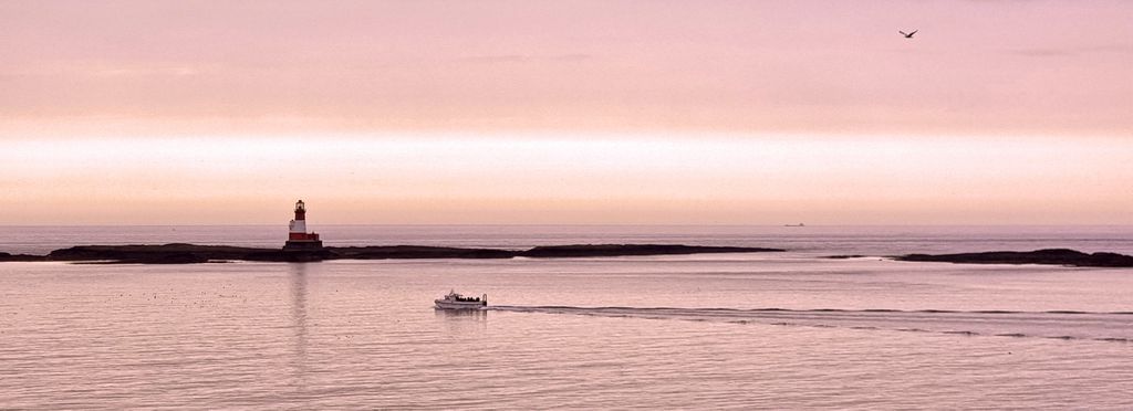 Blick auf die Farne Islands