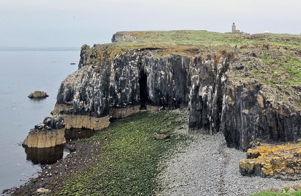 Der Stevenson-Leuchtturm auf der Isle of May