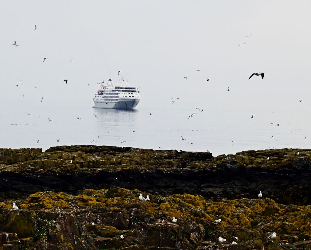 Die Silver Wind nahe der Isle of May