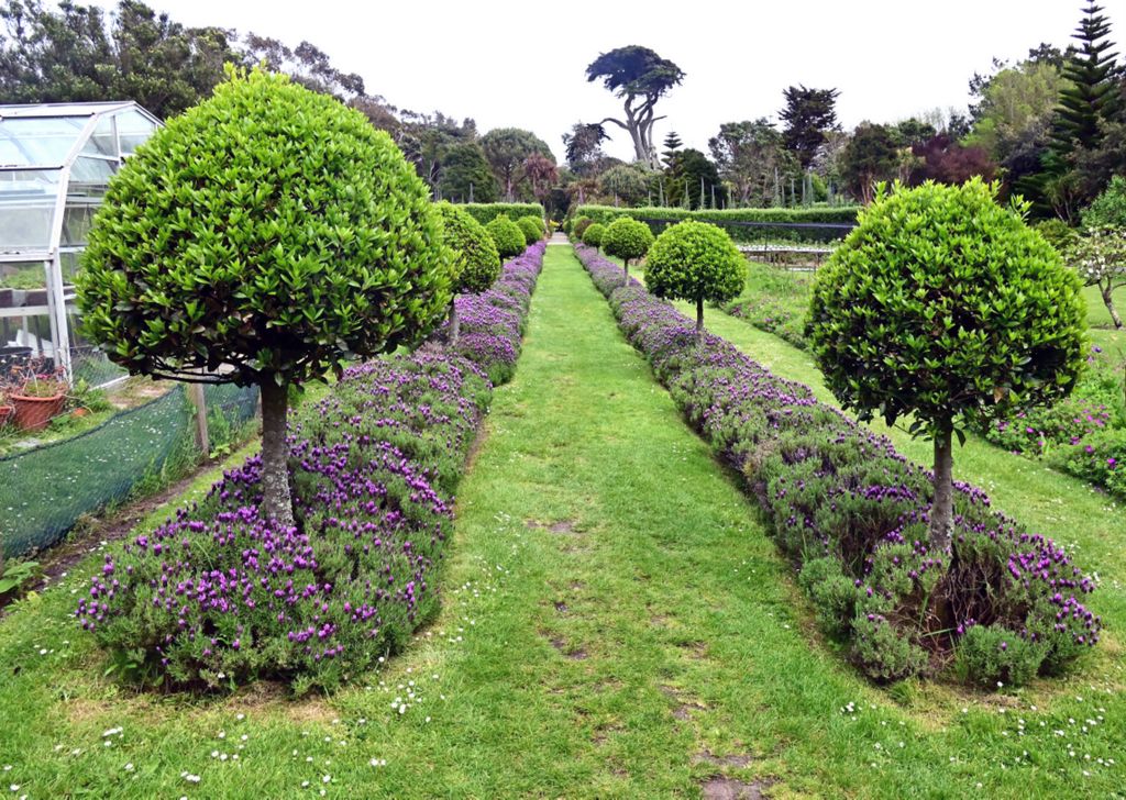 Im Tresco Abbey Garden, Guernsey