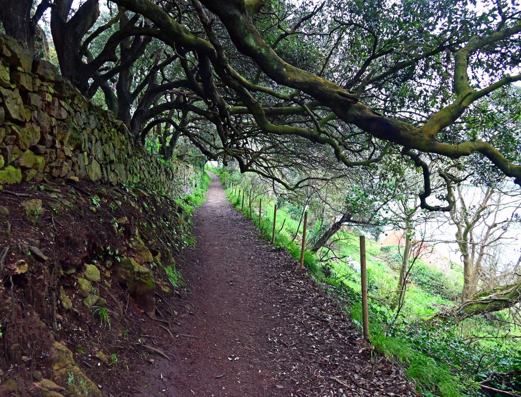Unterwegs auf einer Klippenwanderung auf Guernsey