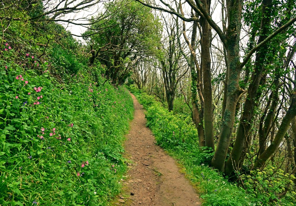 Wandern auf Guernsey im Grünen
