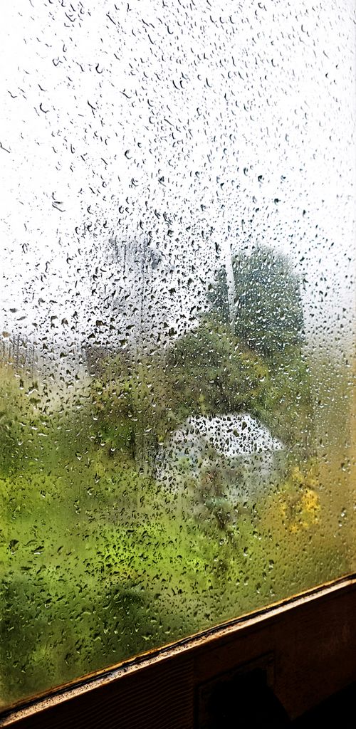 (Keine) Aussicht bei der Isle of Man Railway