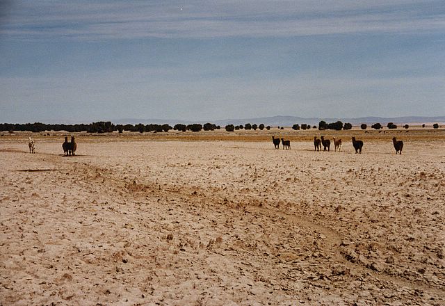 In der Atacama-Wüste