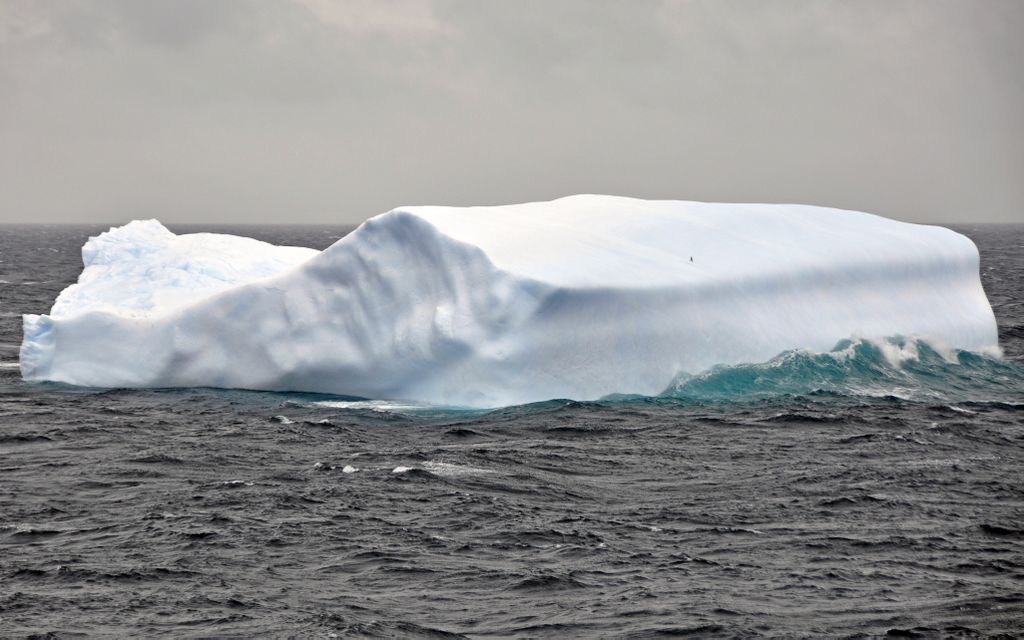 Mit der MS Delphin nach Falkland und in die Antarktis