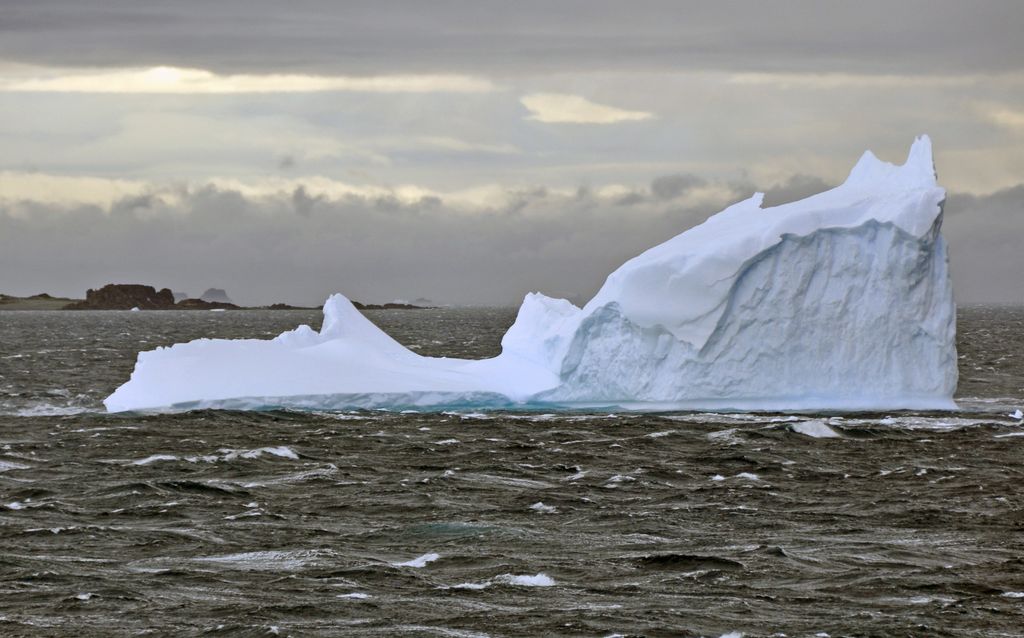 Mit der MS Delphin nach Falkland und in die Antarktis