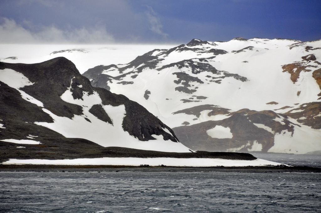 Mit der MS Delphin nach Falkland und in die Antarktis