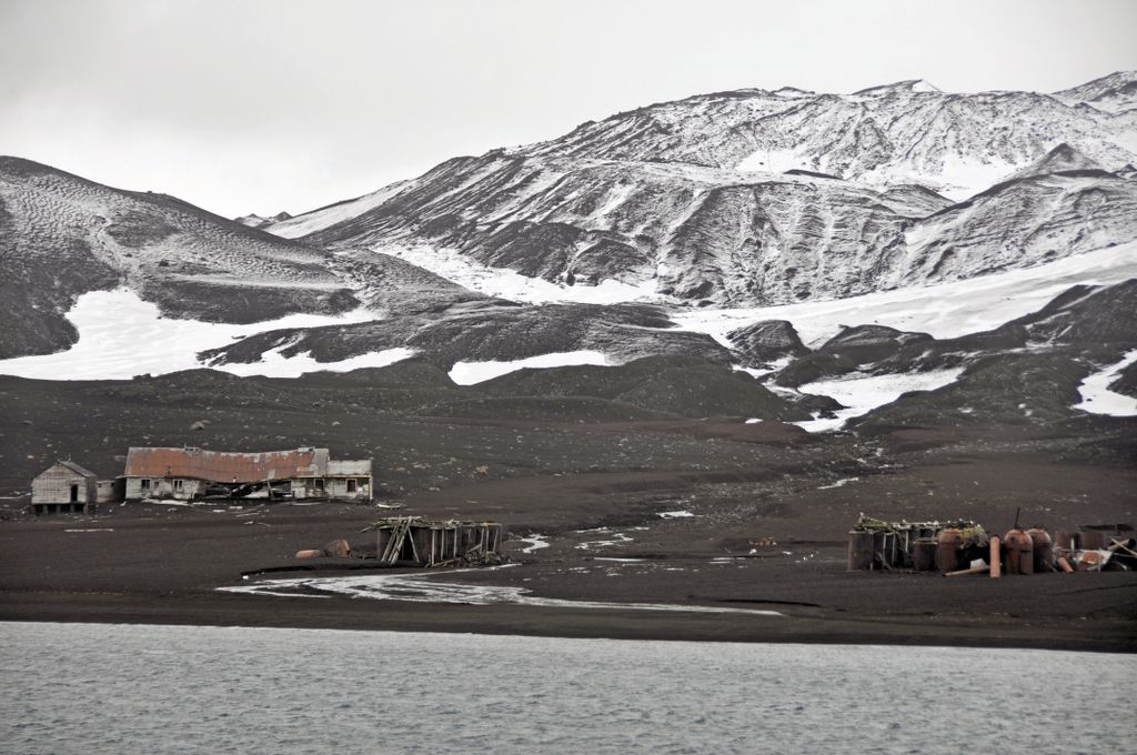 Mit der MS Delphin nach Falkland und in die Antarktis