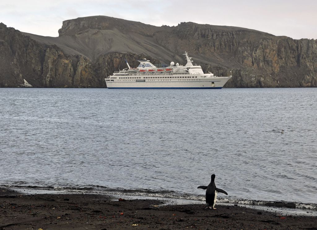 Mit der MS Delphin nach Falkland und in die Antarktis