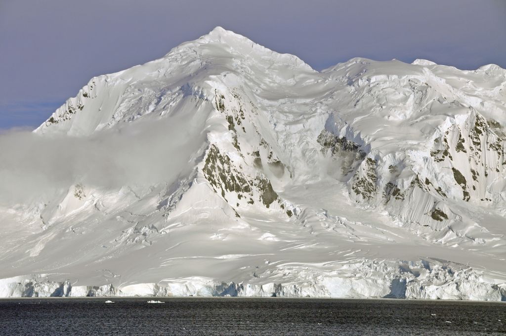 Mit der MS Delphin nach Falkland und in die Antarktis