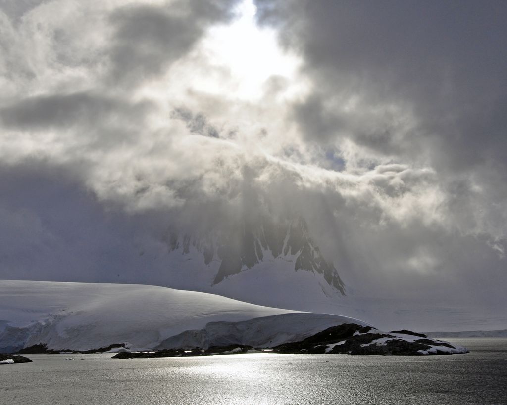 Mit der MS Delphin nach Falkland und in die Antarktis