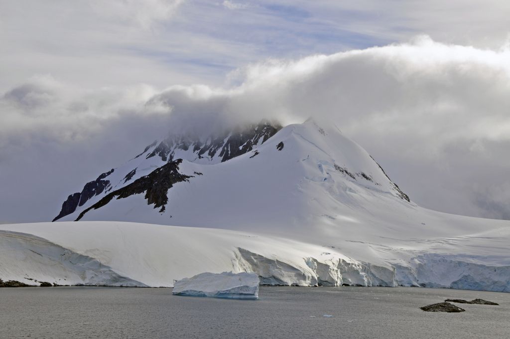 Mit der MS Delphin nach Falkland und in die Antarktis