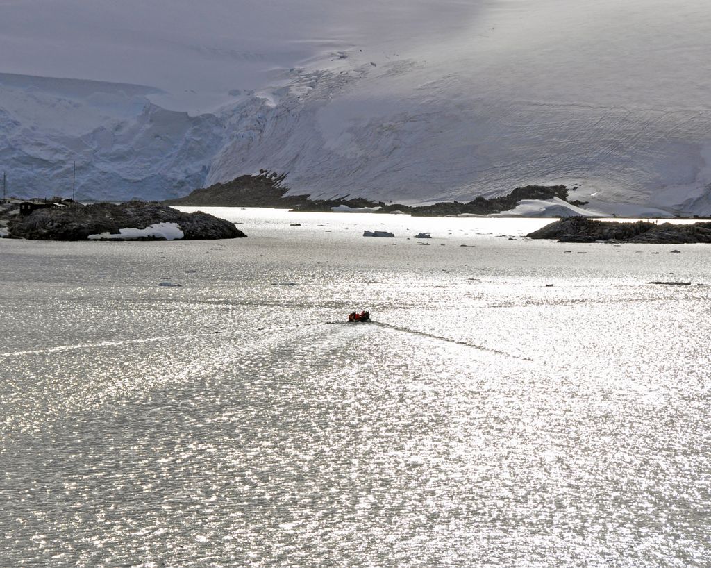 Mit der MS Delphin nach Falkland und in die Antarktis