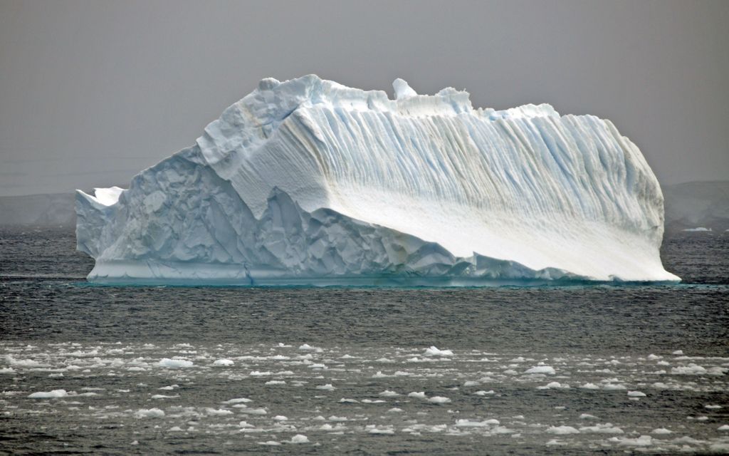 Mit der MS Delphin nach Falkland und in die Antarktis