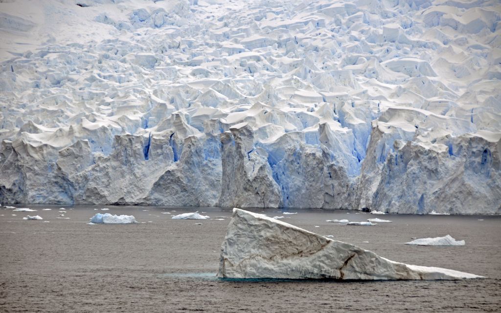 Mit der MS Delphin nach Falkland und in die Antarktis