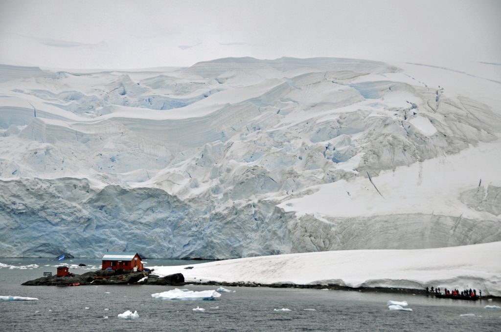 Mit der MS Delphin nach Falkland und in die Antarktis