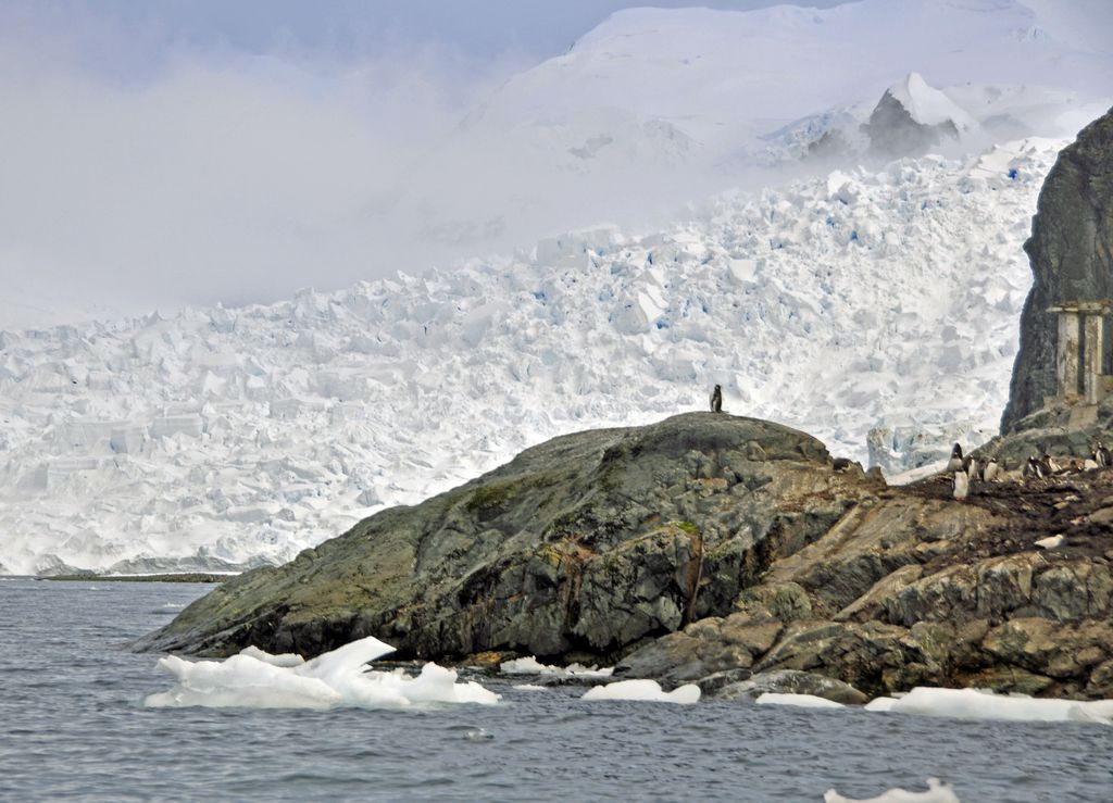 Mit der MS Delphin nach Falkland und in die Antarktis