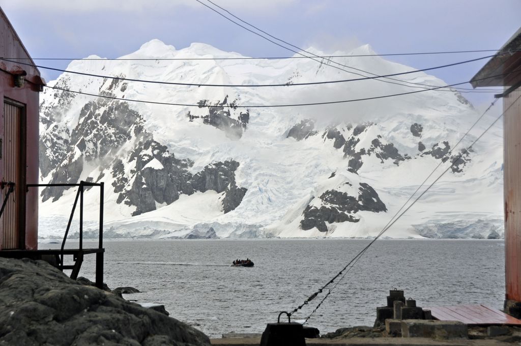 Mit der MS Delphin nach Falkland und in die Antarktis